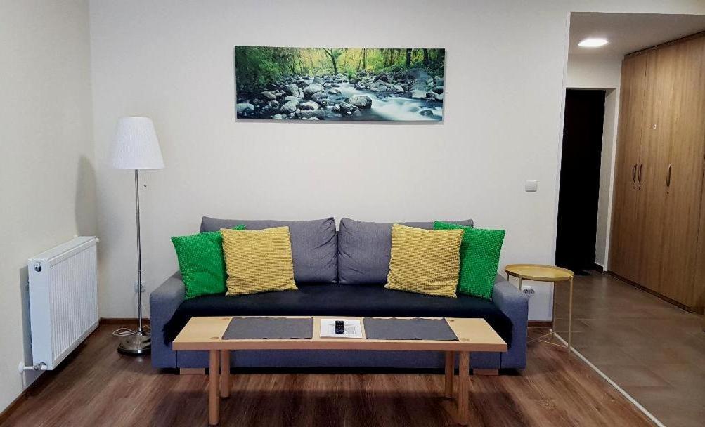 Studio Mountain View Синая Экстерьер фото