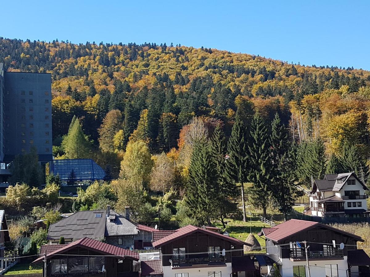 Studio Mountain View Синая Экстерьер фото