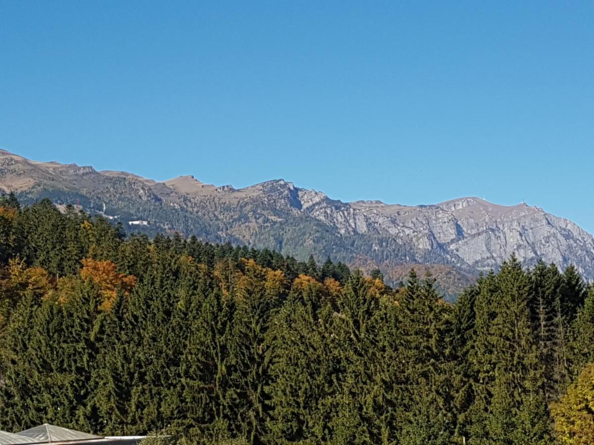 Studio Mountain View Синая Экстерьер фото