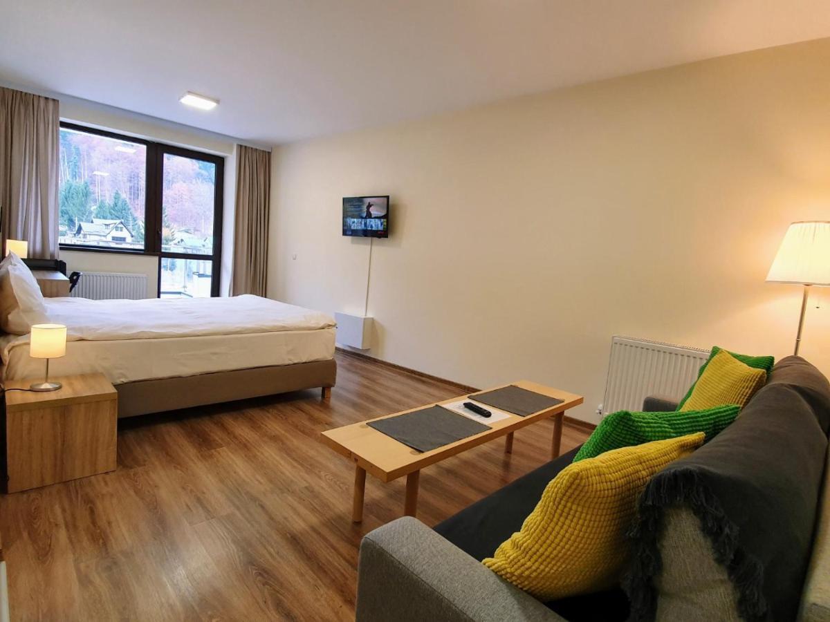 Studio Mountain View Синая Экстерьер фото